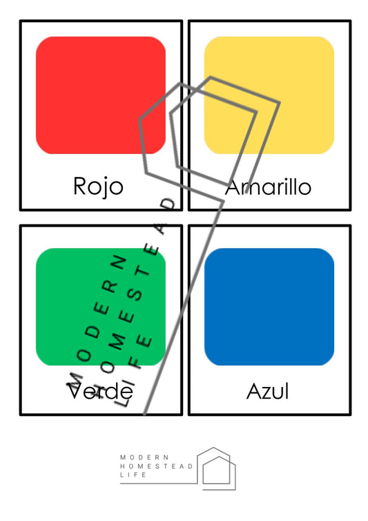 Color Matching Cards (in Spanish) - Digital Download