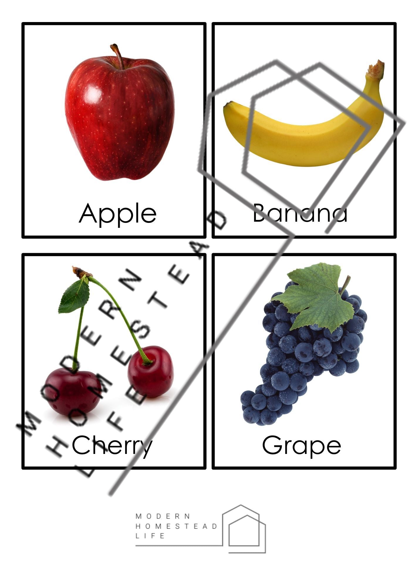 Fruit Matching Cards - Digital Download