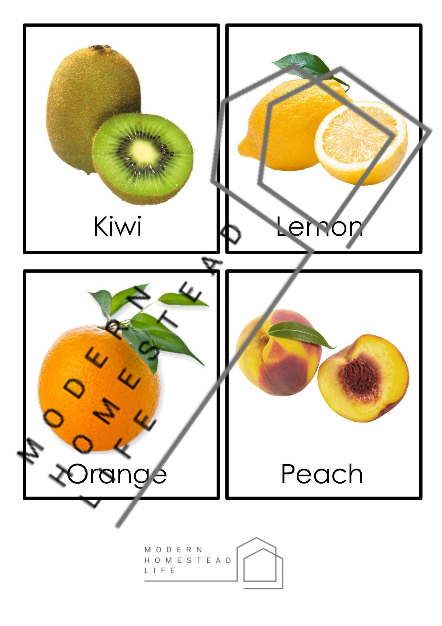 Fruit Matching Cards - Digital Download