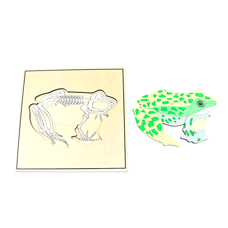 Children Educational Toys Montessori Materials Biology Wooden Skeleton Puzzle Frog Horse Tortiose Fish Bird Animal Toys for Boy