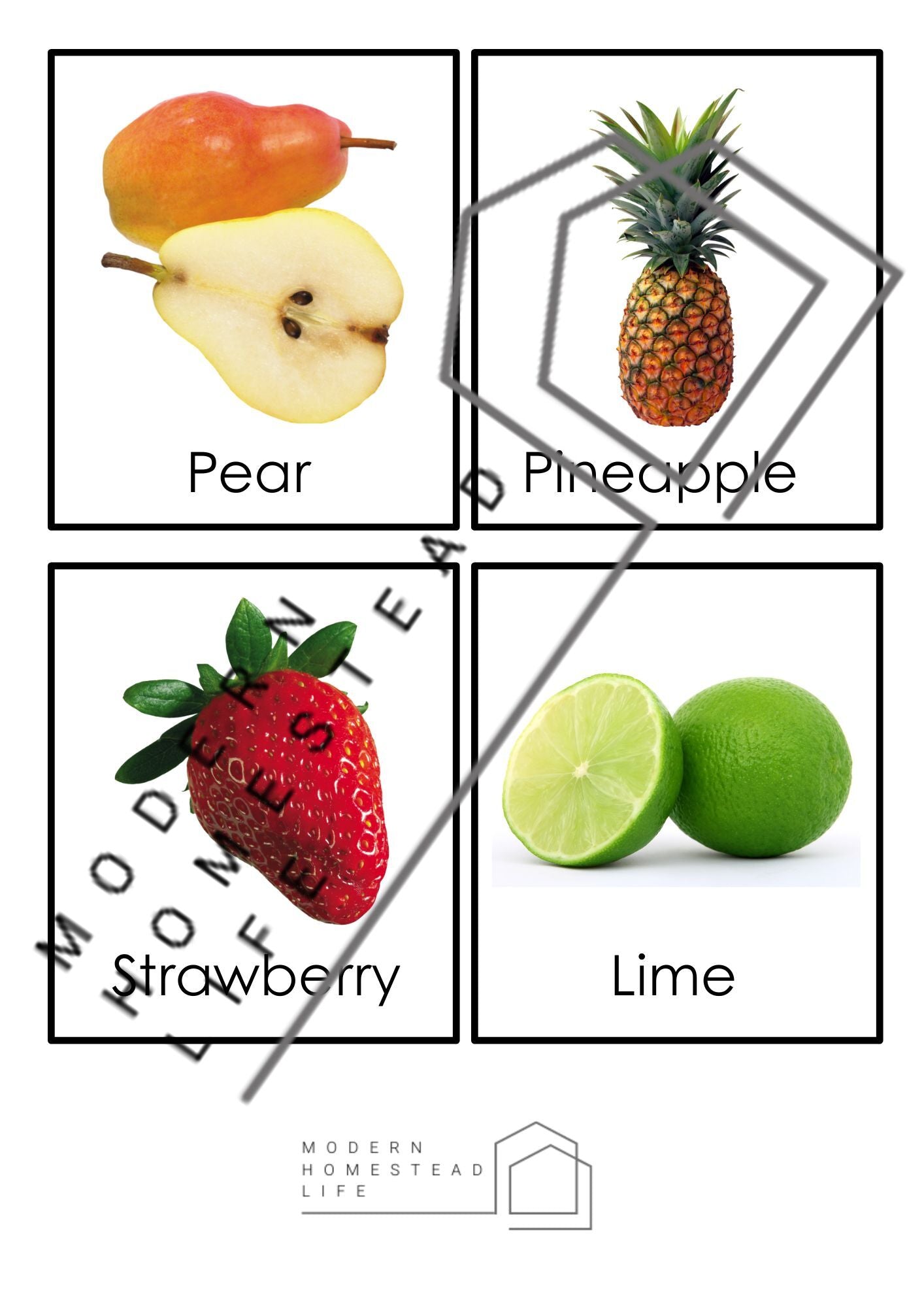 Fruit Matching Cards - Digital Download