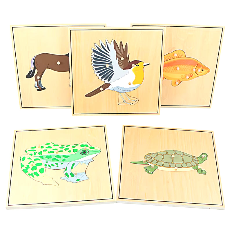 Children Educational Toys Montessori Materials Biology Wooden Skeleton Puzzle Frog Horse Tortiose Fish Bird Animal Toys for Boy