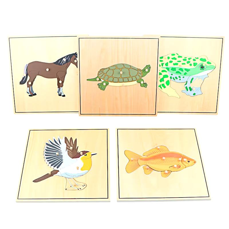 Children Educational Toys Montessori Materials Biology Wooden Skeleton Puzzle Frog Horse Tortiose Fish Bird Animal Toys for Boy