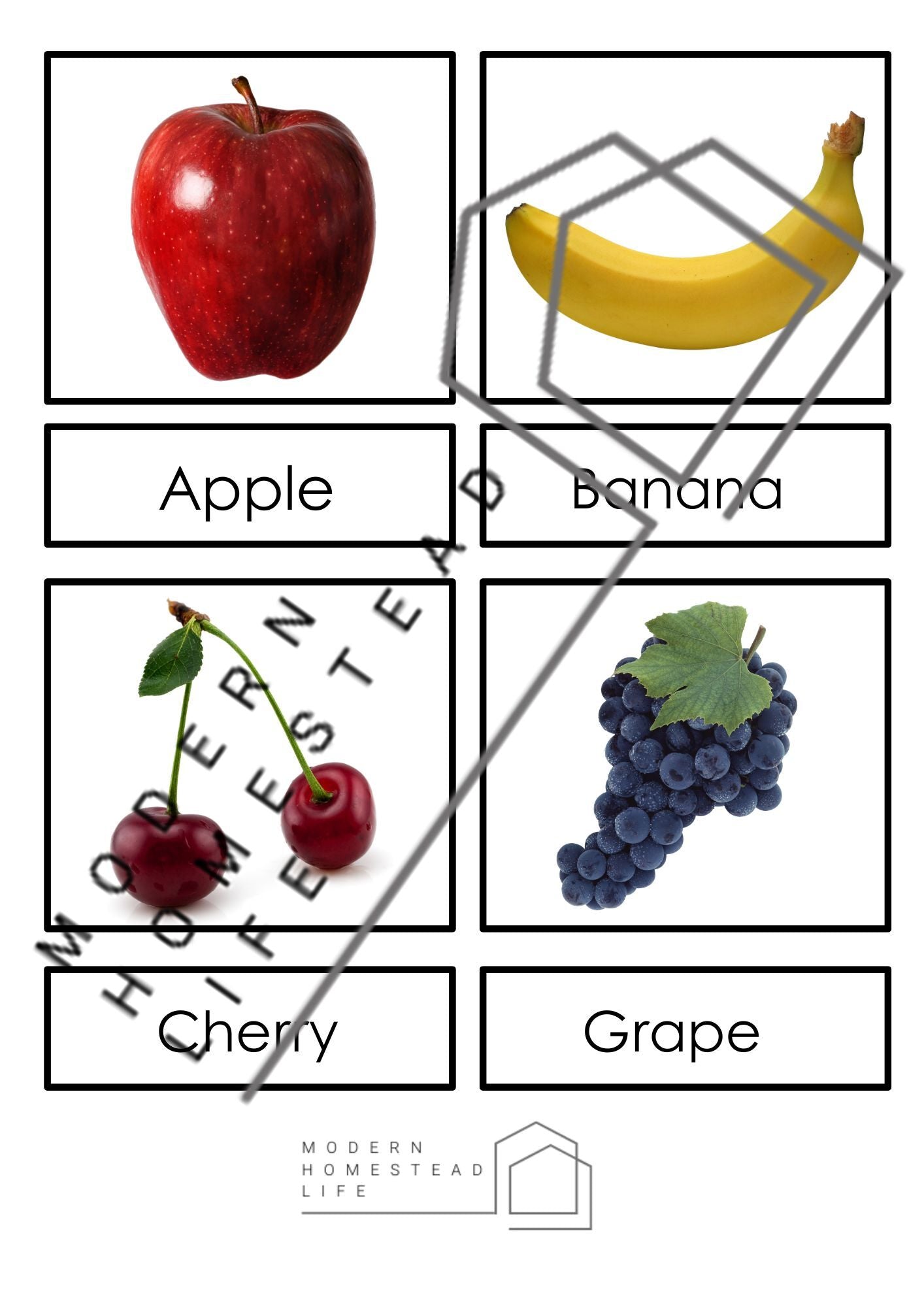 Fruit Matching Cards - Digital Download