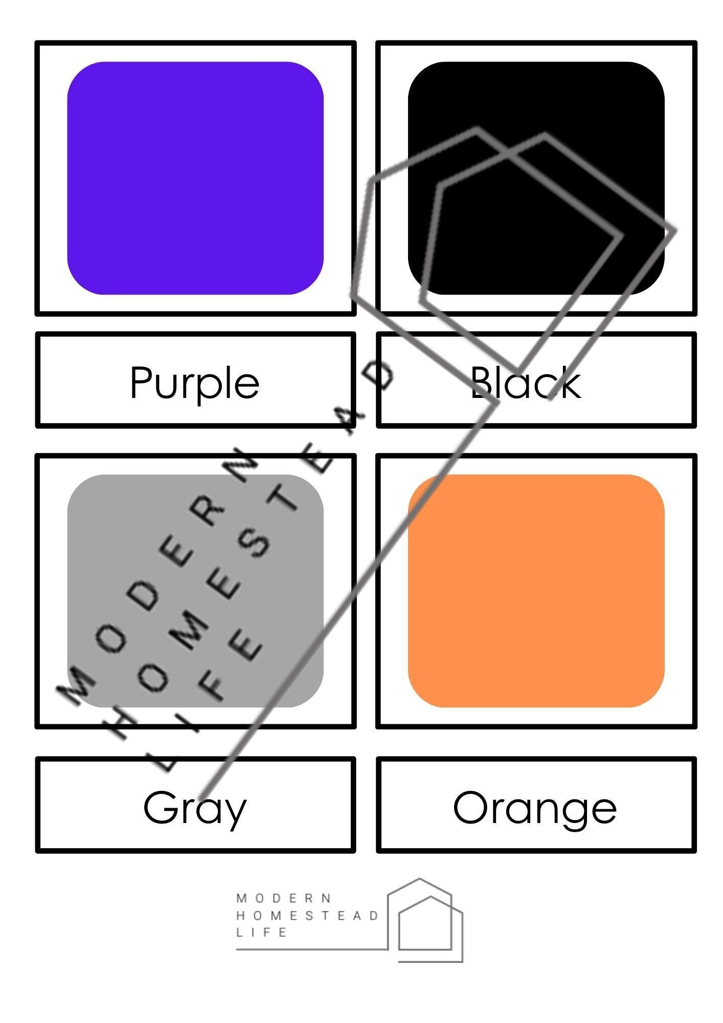 Color Matching Cards - Digital Download