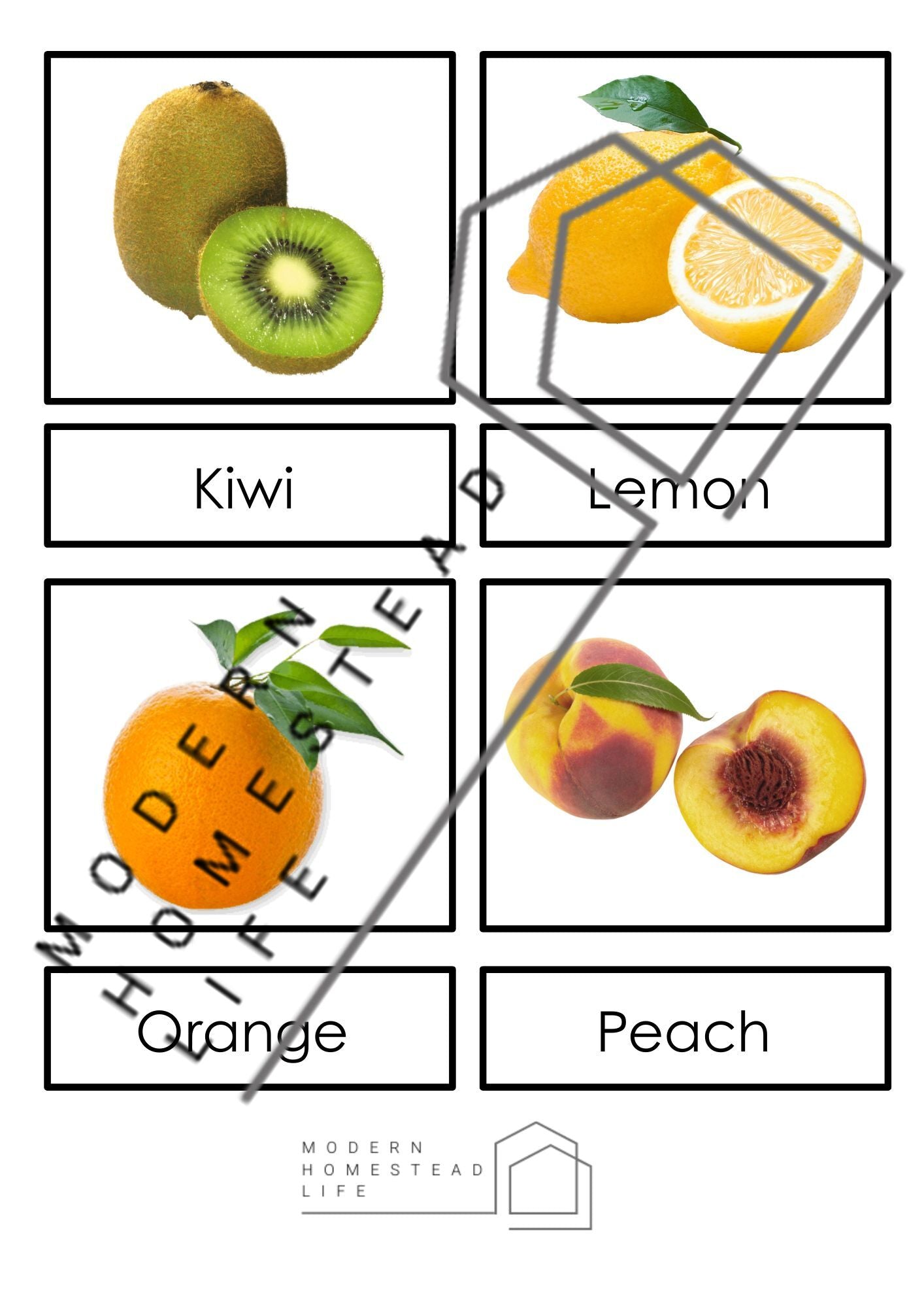 Fruit Matching Cards - Digital Download