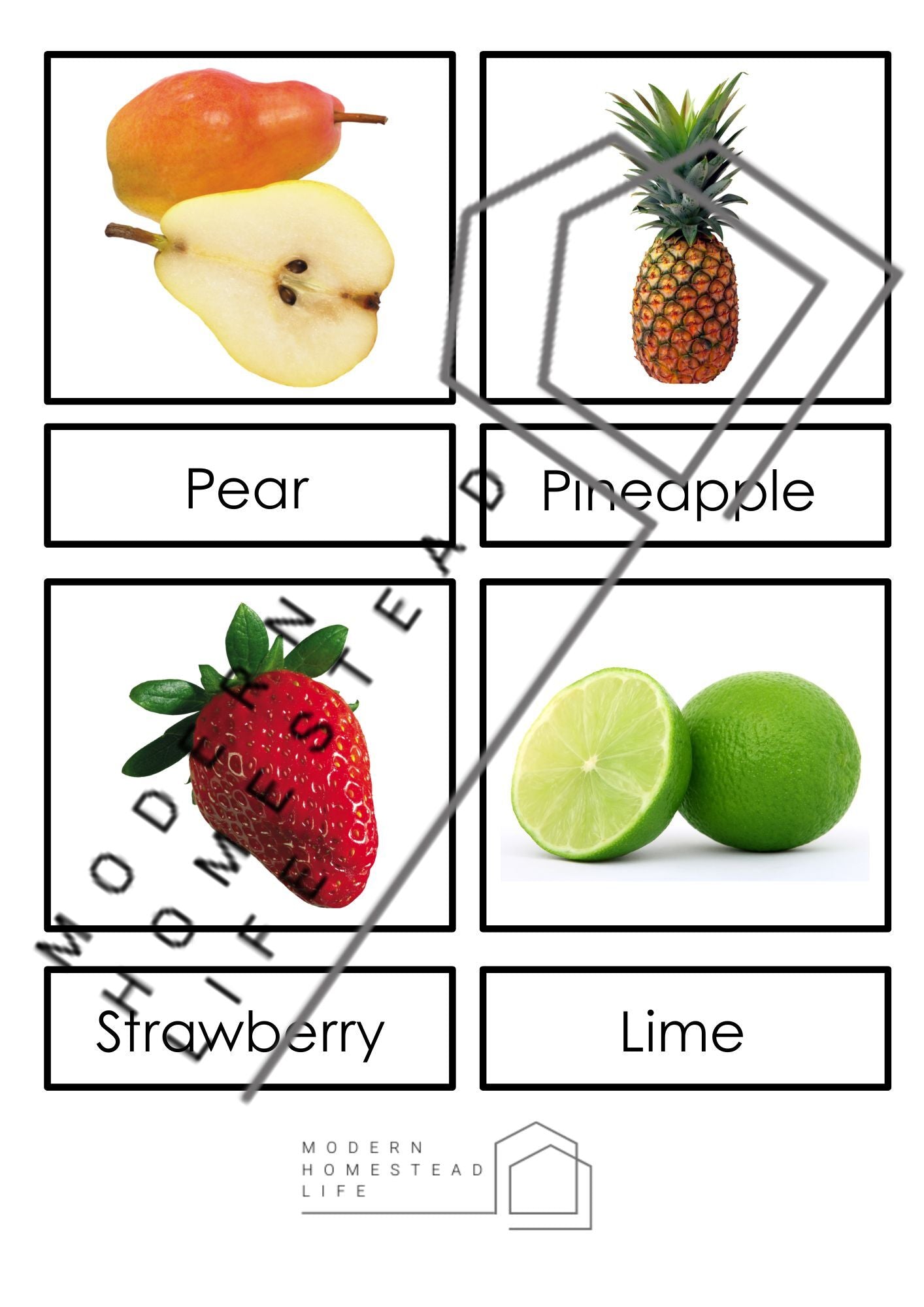 Fruit Matching Cards - Digital Download