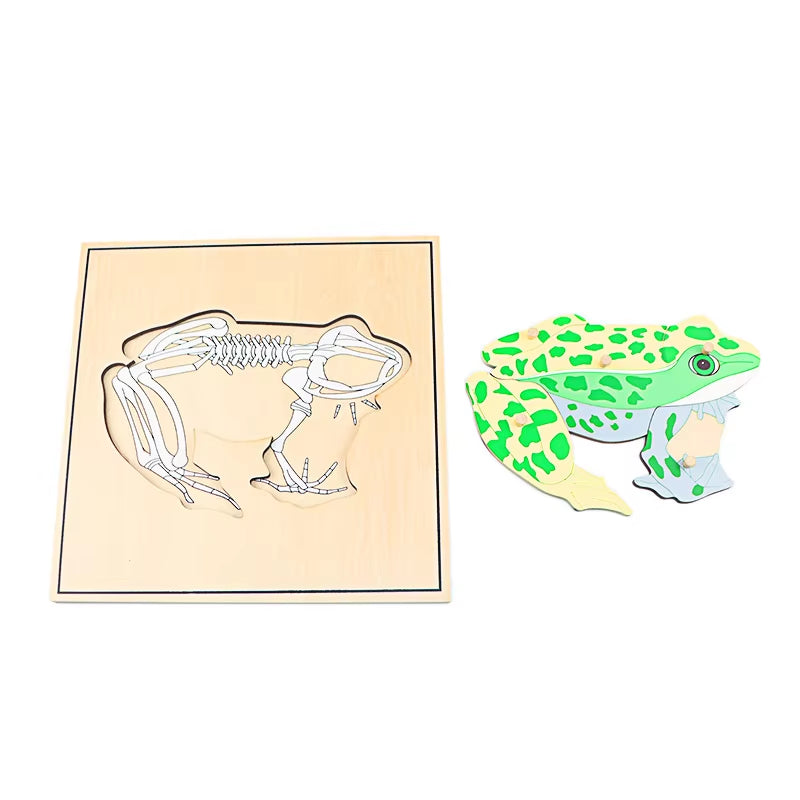 Children Educational Toys Montessori Materials Biology Wooden Skeleton Puzzle Frog Horse Tortiose Fish Bird Animal Toys for Boy