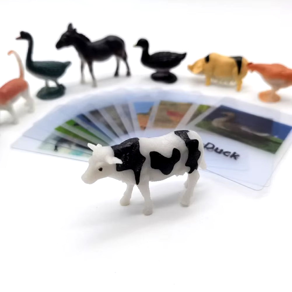 Montessori Light Table Sensory Toys Language Materials  Cards Light Box Montessori Learning Toy for Children E2566F