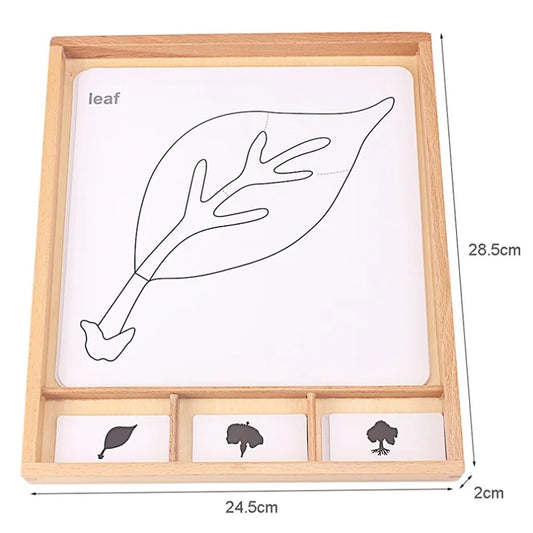 Montessori Botany Puzzles Activity Set Animals Plants Card PVC Material Wooden Box Baby English Games Toys for Children Training