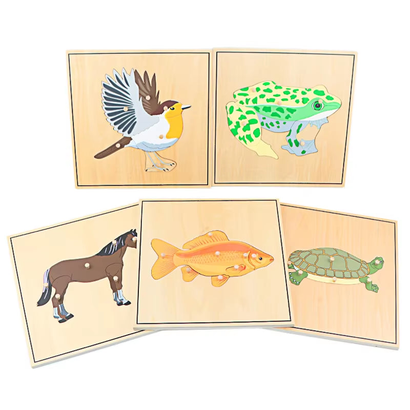 Children Educational Toys Montessori Materials Biology Wooden Skeleton Puzzle Frog Horse Tortiose Fish Bird Animal Toys for Boy